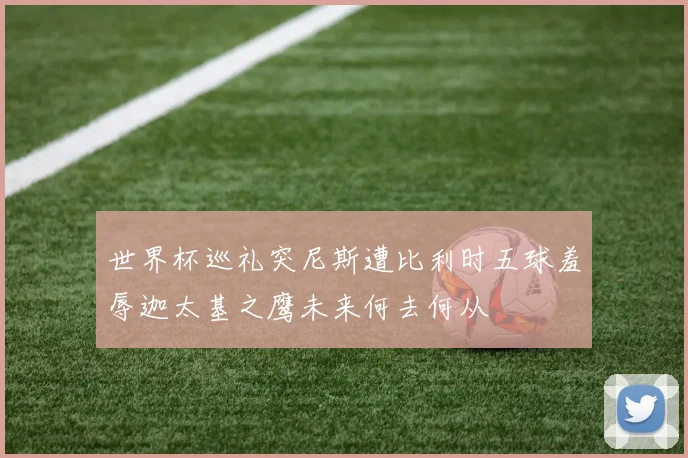 世界杯巡礼突尼斯遭比利时五球羞辱迦太基之鹰未来何去何从