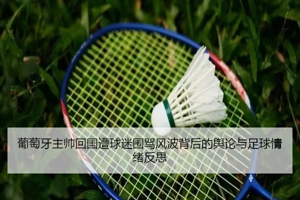 葡萄牙主帅回国遭球迷围骂风波背后的舆论与足球情绪反思 - MorganSports
